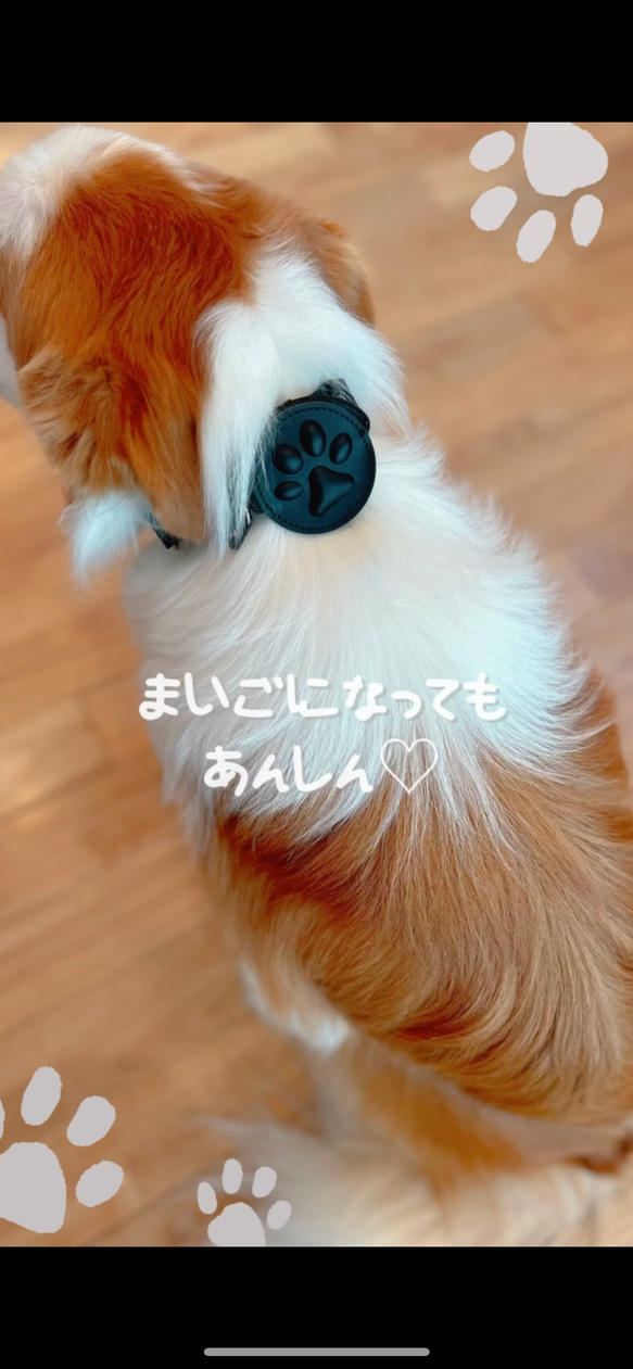 わんちゃんウォレット DOG WALLET 犬鑑札入れ 犬鑑札ケース AirTagケース エアタグケース 鑑札入れ 6枚目の画像