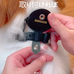 わんちゃんウォレット DOG WALLET 犬鑑札入れ 犬鑑札ケース AirTagケース エアタグケース 鑑札入れ 5枚目の画像