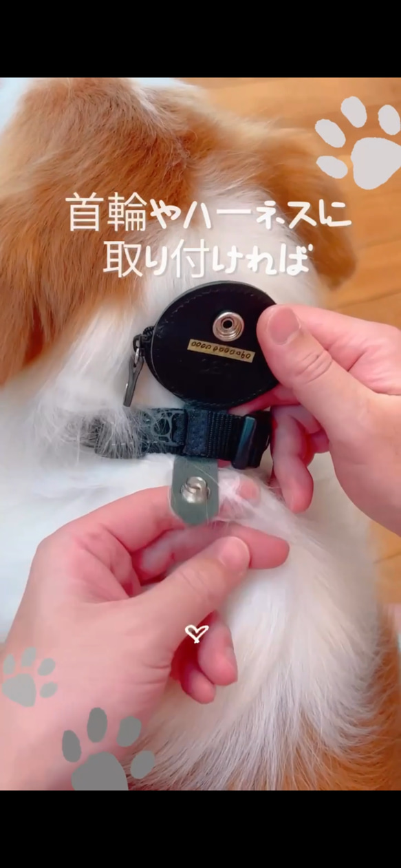 わんちゃんウォレット DOG WALLET 犬鑑札入れ 犬鑑札ケース AirTagケース エアタグケース 鑑札入れ 5枚目の画像