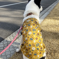 中型・大型犬タンクトップ　鳥と花 3枚目の画像