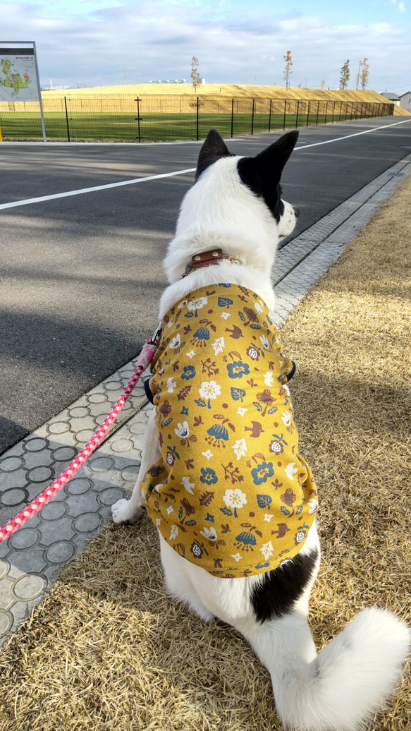 中型・大型犬タンクトップ　鳥と花 3枚目の画像