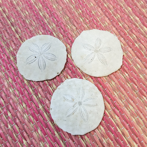 花模様の貝殻ネックレス 海からのプレゼント ネックレス・ペンダント
