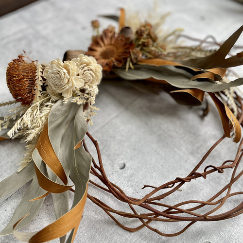 ドライフラワー】赤つるのリース ホワイトベース グレビリア リース