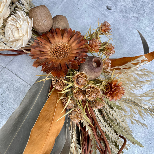 専用＊クエキフォリア&ドイツトウヒ ドライフラワーリース 専用