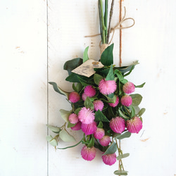 ミモザ2025 大人のミモザ グリーンリース ユーカリ リース ERBA 通販