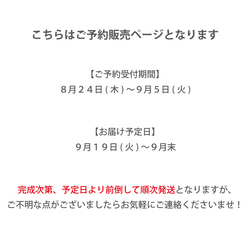 【ご予約/9月下旬発送】【ペンギン】思わず誰かに見せたくなる/高級感のある身軽で上品に決めるミニショルダーバッグ 2枚目の画像