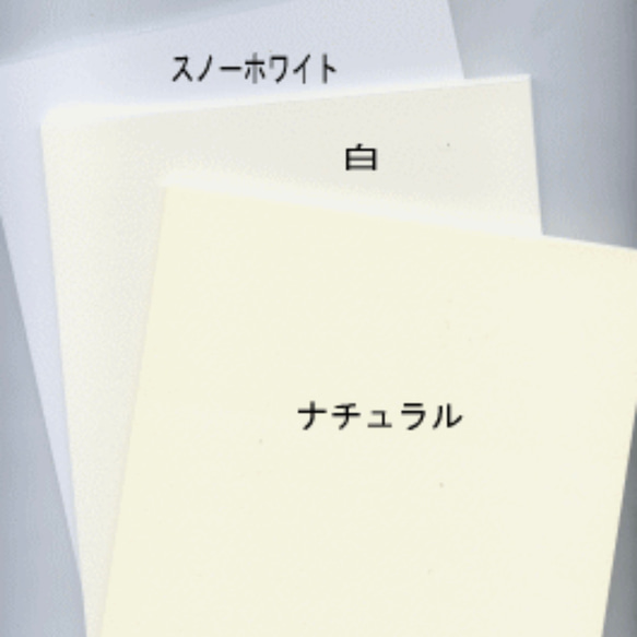 [ 命名書 ] エンボス加工￤命名書￤ポスター 2枚目の画像