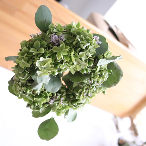 2.アナベルフライングリース