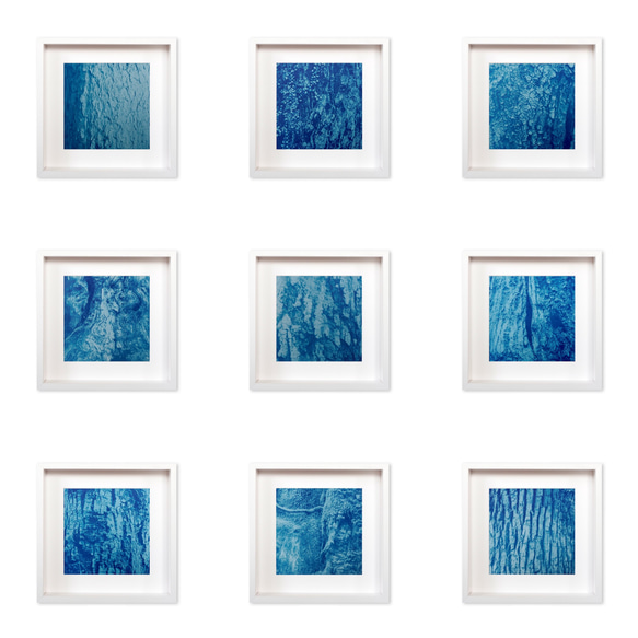 【自然のポートレート】 ボタニカルアート　ブルー　樹木　モダン　インテリアアート　植物 8枚目の画像