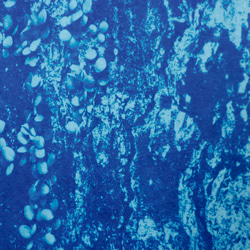 [自然肖像]斯堪的納維亞樹現代室內藝術植物藍色 第5張的照片