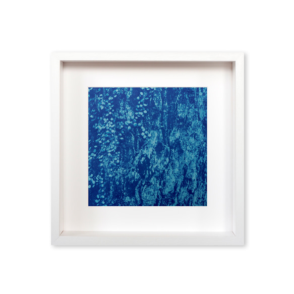[自然肖像]斯堪的納維亞樹現代室內藝術植物藍色 第1張的照片