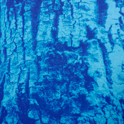 【自然のポートレート】 モダンアート　インテリアアート　樹木　ボタニカル　ブルー　植物 5枚目の画像