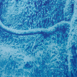 【自然のポートレート】 樹木　インテリアアート　ボタニカル　モダン　植物　北欧 6枚目の画像