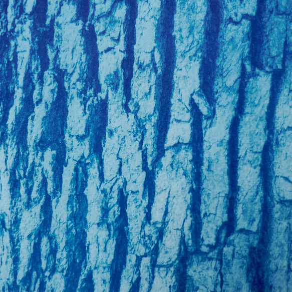 [自然肖像]樹木現代藝術室內植物植物藍色 第5張的照片