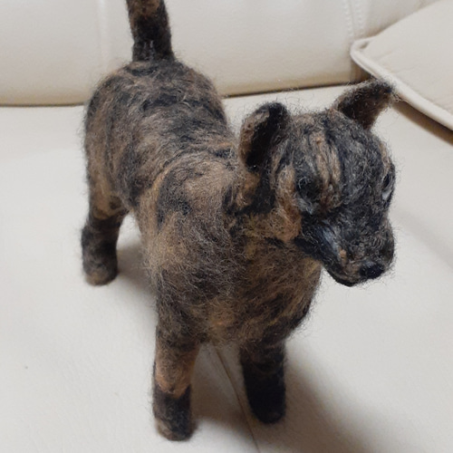 YT様　甲斐犬　羊毛フェルト　確認用 羊毛フェルト 甲斐犬 羊毛フェルト Kingこうた 通販 16436002