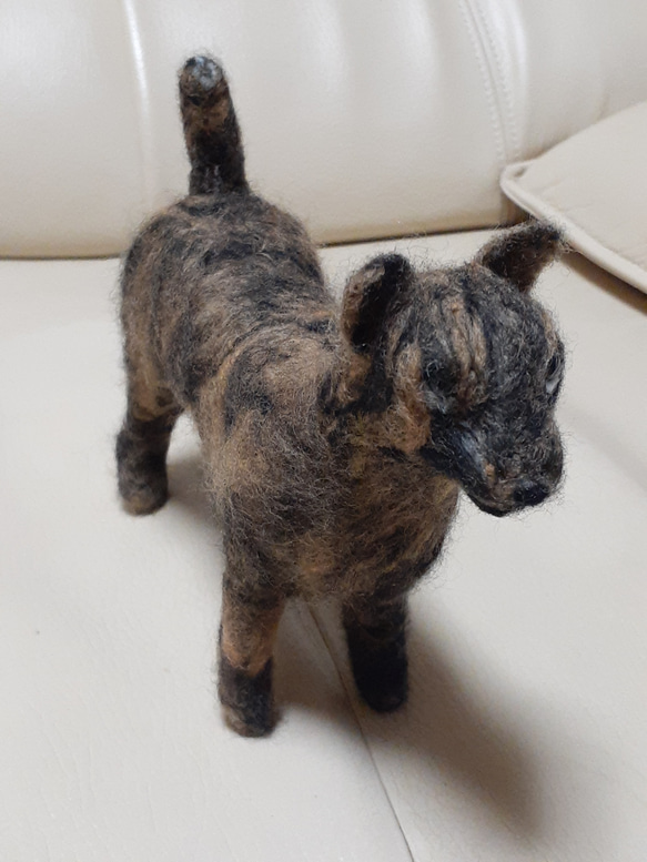 羊毛フェルト 甲斐犬 羊毛フェルト Kingこうた 通販 16436002