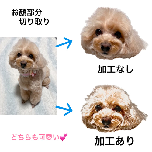 うちの子 トートバック サングラスNo.2 9色 世界に一つだけ 散歩