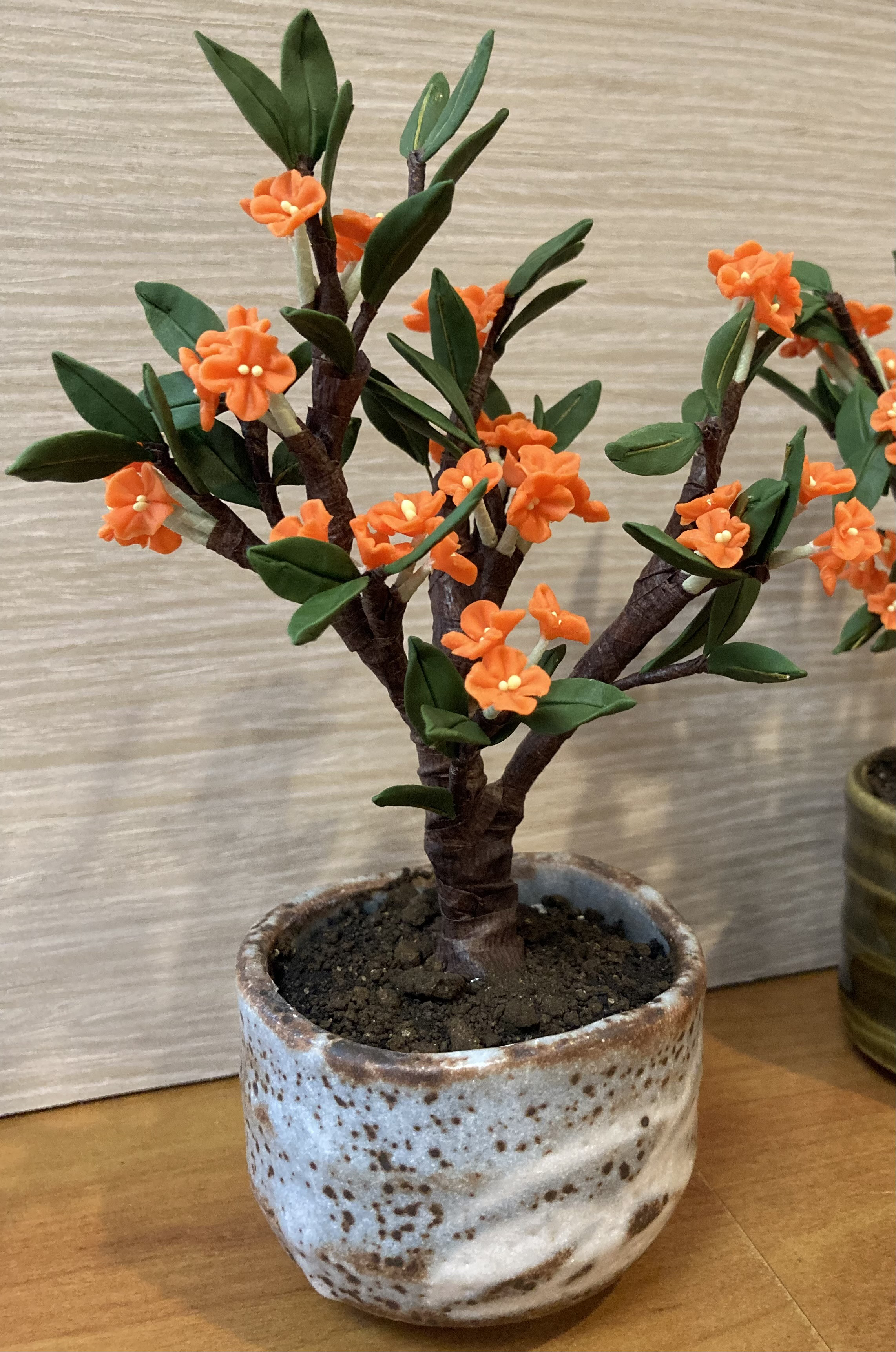 ご依頼品樹脂粘土製ミニチュア盆栽〈金木犀〉 盆栽 AB-Hachi