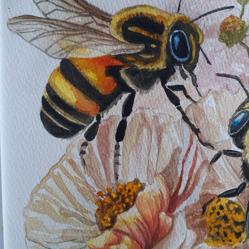 水彩画 花とミツバチ 絵画 makochin 通販 16437214｜Creema(クリーマ)