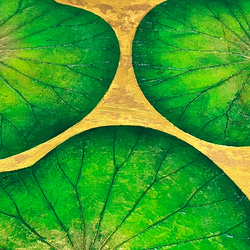 【受注1】【一点もの】オシャレでユニークな蓮の葉ハッピーアート: The beauty of lotus leaf. 11枚目の画像