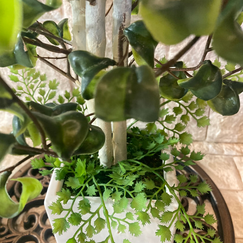 光触媒　人工観葉植物　ウォールグリーン　フェイクグリーン　ベンジャミン下葉付き