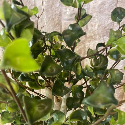 光触媒 人工観葉植物 ウォールグリーン フェイクグリーン