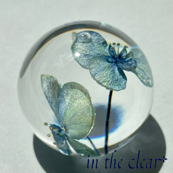 植物標本　紫陽花　水色　レジン　４センチ球体 4枚目の画像