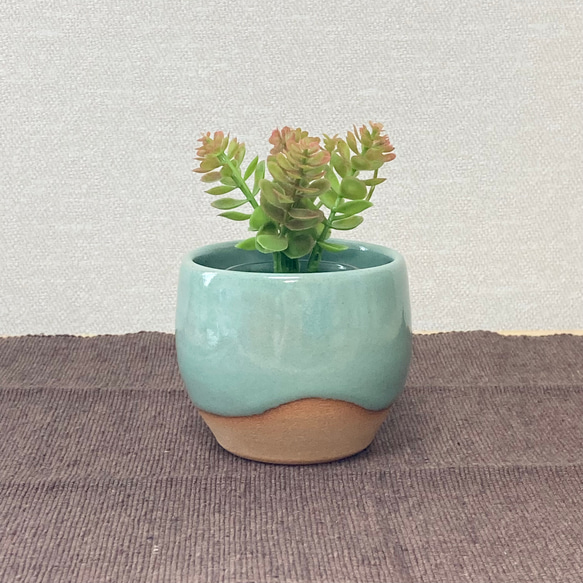 レトロな翠色の鉢　〜観葉植物・多肉植物・苔盆栽など〜 1枚目の画像