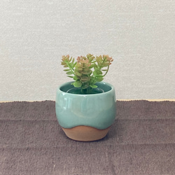 レトロな翠色の鉢　〜観葉植物・多肉植物・苔盆栽など〜 2枚目の画像