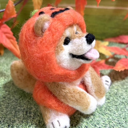 ハロウィン置物おばけかぼちゃのコスプレをした柴犬ちゃん羊毛フェルト 4枚目の画像