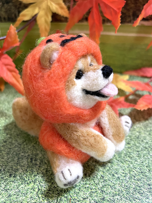 ハロウィン置物おばけかぼちゃのコスプレをした柴犬ちゃん羊毛フェルト 4枚目の画像