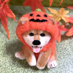 ハロウィン置物おばけかぼちゃのコスプレをした柴犬ちゃん羊毛フェルト 2枚目の画像