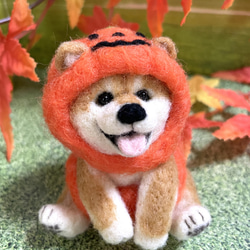 ハロウィン置物おばけかぼちゃのコスプレをした柴犬ちゃん羊毛フェルト 1枚目の画像