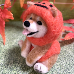 ハロウィン置物おばけかぼちゃのコスプレをした柴犬ちゃん羊毛フェルト 3枚目の画像
