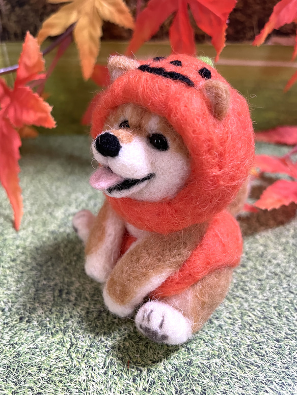 ハロウィン置物おばけかぼちゃのコスプレをした柴犬ちゃん羊毛フェルト 3枚目の画像