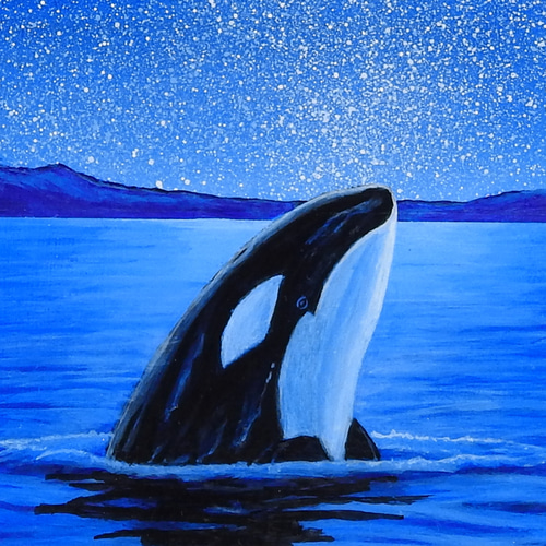 ☆仮縁付き アクリル画 原画「see the starry heavens」SMサイズ