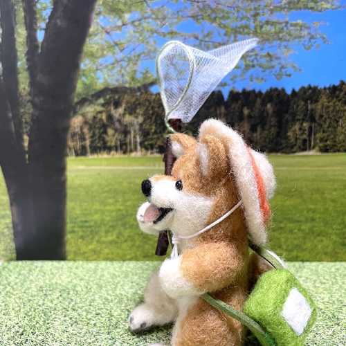 虫とり網を持った柴犬ちゃん羊毛フェルト 羊毛フェルト mofucoro