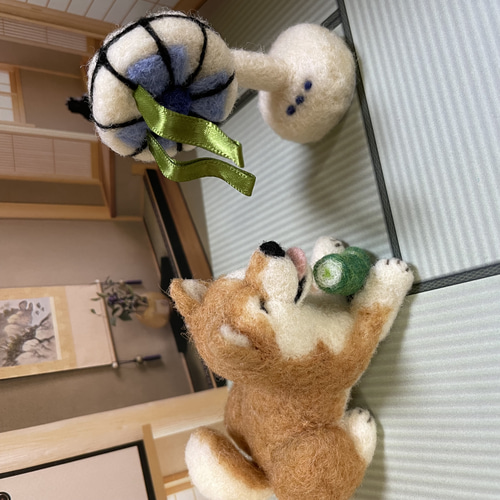 扇風機で涼みながらきゅうりをかじる柴犬ちゃん羊毛フェルト