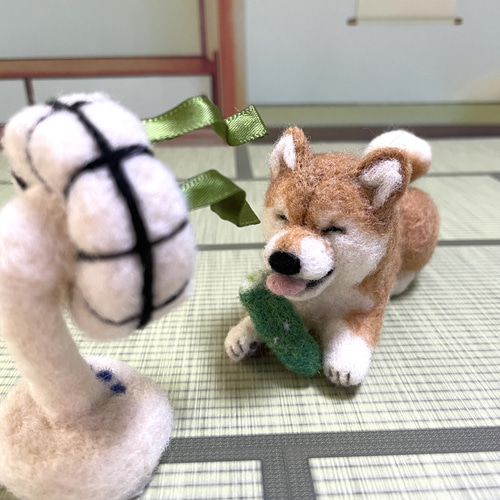 扇風機で涼みながらきゅうりをかじる柴犬ちゃん羊毛フェルト 羊毛