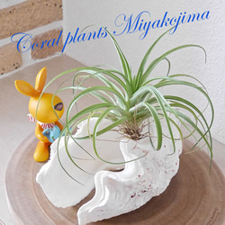 5eeea903bdee88152e94658cd28a56