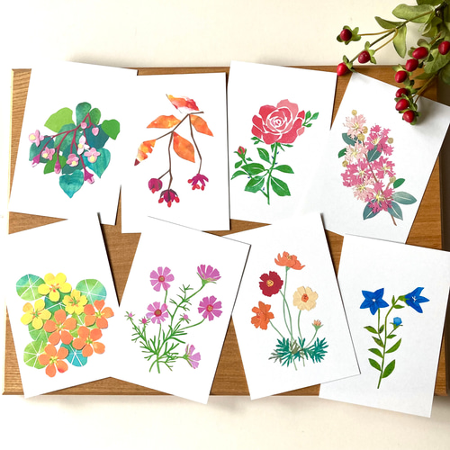 9月頃の花ポストカードセット ポストカード tomocollage 通販 9月頃の花ポストカードセット ポストカード tomocollage 通販