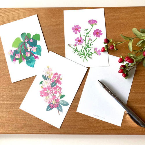 9月頃の花ポストカードセット ポストカード tomocollage 通販