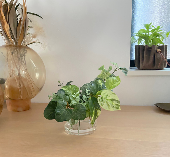 ■ 本物そっくり枯れない観葉植物■ フェイクグリーン　葉　水　ガラス瓶　ショップインテリア　ディスプレイ 2枚目の画像