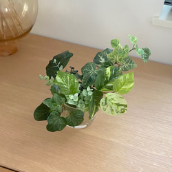 ■ 本物そっくり枯れない観葉植物■ フェイクグリーン　葉　水　ガラス瓶　ショップインテリア　ディスプレイ 3枚目の画像