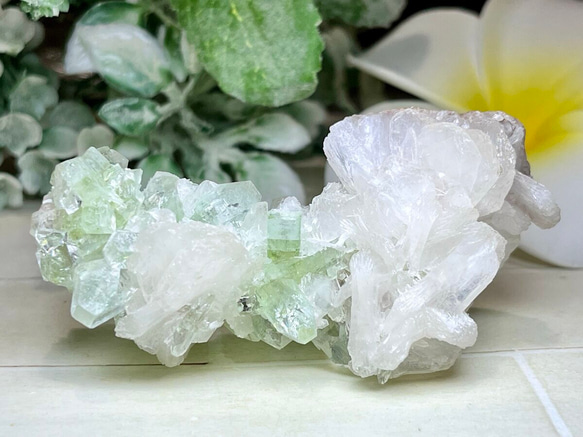 天使の水晶✨   レインボー　グリーンアポフィライト　原石　クラスター　魚眼石