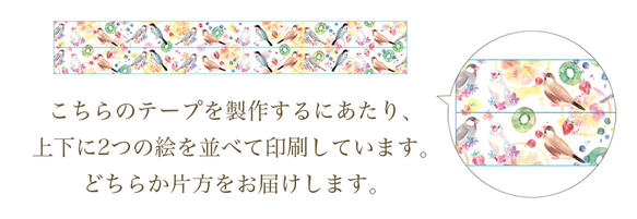 「Fruits Gift フルーツギフト / マスキングテープ」果物と文鳥たち / 文鳥ロードショー×Mitsui 8枚目の画像
