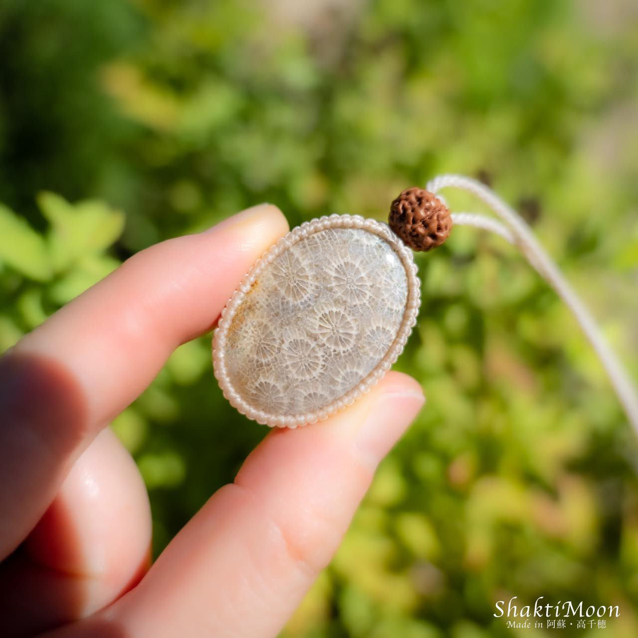 1 サンゴの化石 亀 (大) 天然石 菊目石 珊瑚 コラール 縁起物 魔除け