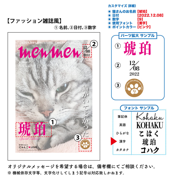 うちのCat　オーダーメイドポスター（ファッション雑誌風） 業務用印刷機/高画質仕上がり　メール便対応 /猫 4枚目の画像