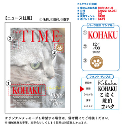 うちのCat　オーダーメイドポスター（ニュース誌風） 業務用印刷機/高画質仕上がり　メール便対応 /猫 3枚目の画像