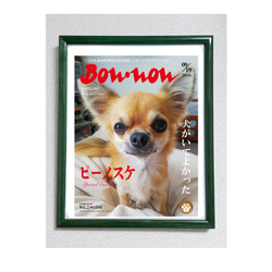 うちのDog　オーダーメイドポスター（ファッション雑誌風）  業務用印刷機/高画質仕上がり　メール便対応 /犬 6枚目の画像